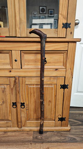 Blackthorn walking stick cane - blackthorn,