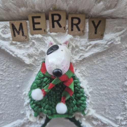 English bull terrier - bull,