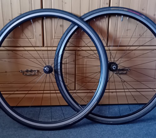 Giant 700c alloy - giant,