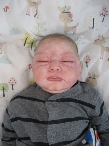 Reborn doll sakai is - doll,