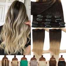 Ombre 100% Human Hair Clip In