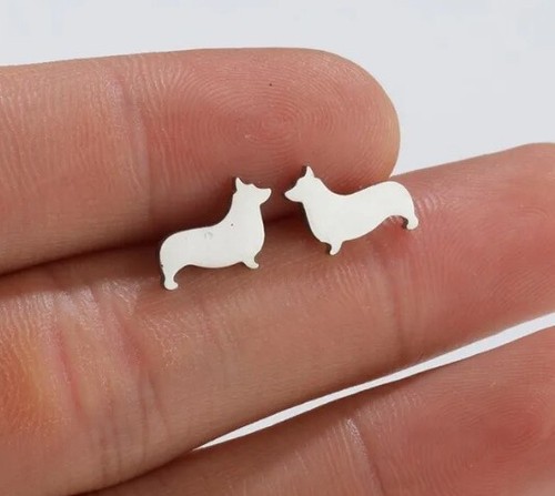 Corgi dog pair of stud - dog,