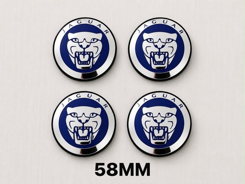 Jaguar 58mm s type e - ,