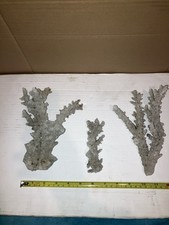 RB7 3x Stunning Dead Coral