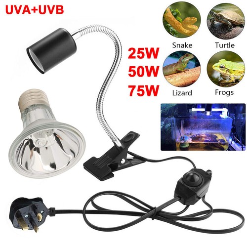 Uva uvb reptile - reptile, lamp