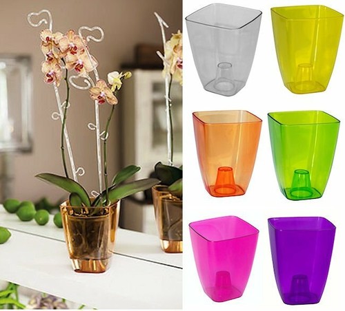 Plant orchid pot - orchid,
