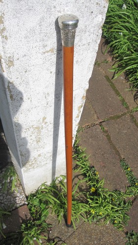 Long 1920vintage malaca cane - 1920vintage,