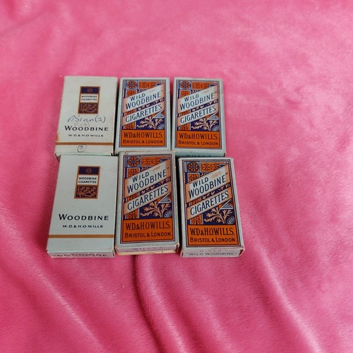 Wild woodbine 6 - woodbine,