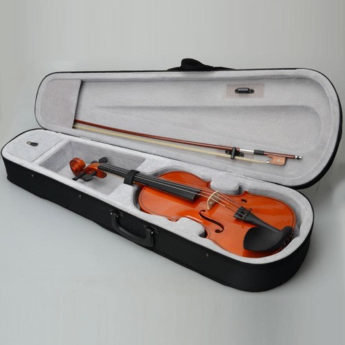 Student professional high - 15",