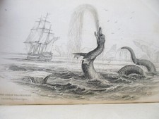 1838 NATURALIST'S LIBRARY VIII