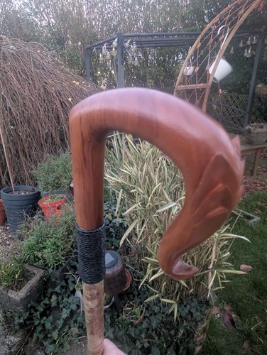 Shepherd crook with - crook,