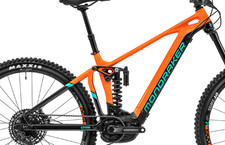 Frame Pivot Bearing Kit |