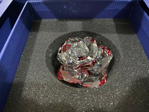 Swarovski crystal the - in,