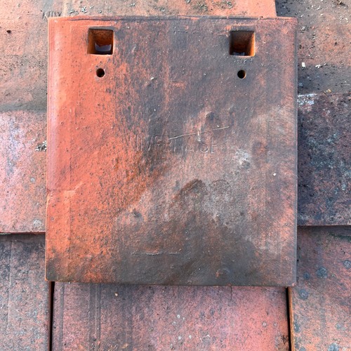Reclaimed rosemary red eave - rosemary,