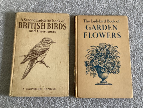 Ladybird books series - books, x
