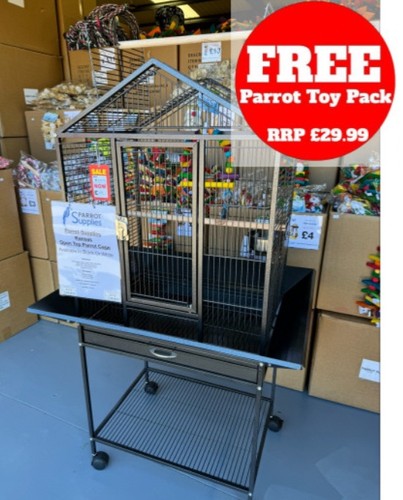 Parrot supplies kansas open - parrot-supplies,
