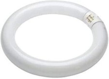 22w Circular Fluorescent Tube