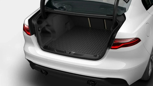 New genuine jaguar 2019 - jaguar,