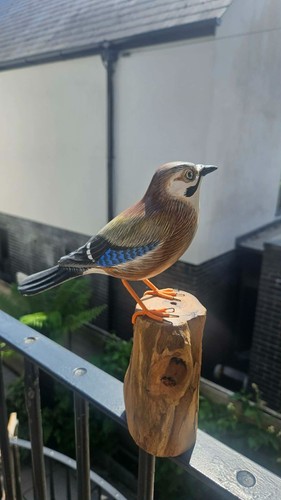 Jay bird tree trunk wood - on,