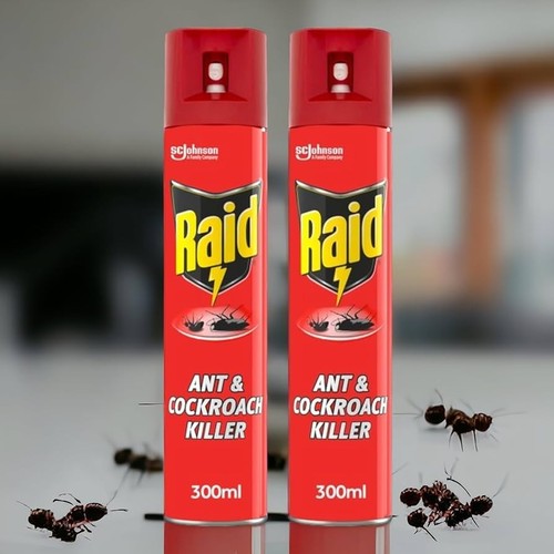 Raid ant cockroach - raid,