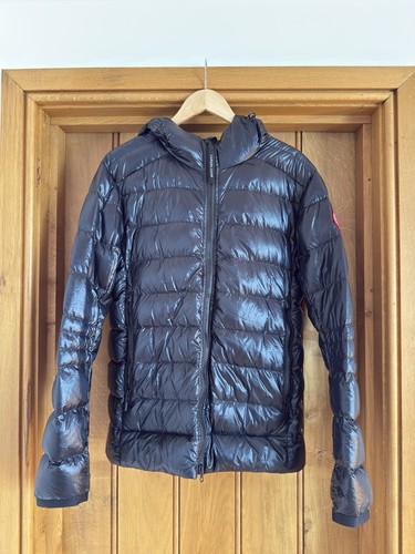 Canada goose crofton - canada, black
