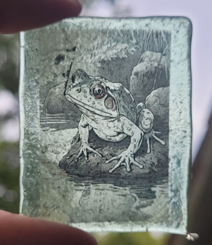 Stained glass frog piece - stained,