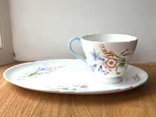 Shelley Bone China wild flowers Teacup & Cakes Plate  Set