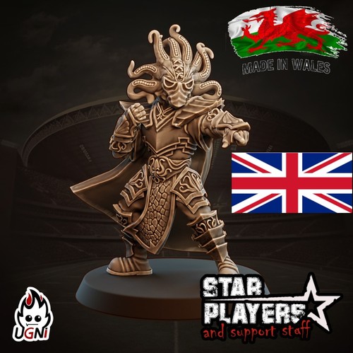 Fantasy football dark elf - fantasy,