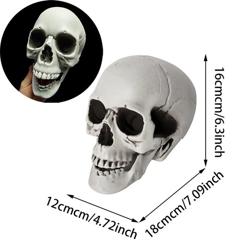 Halloween skull - halloween,