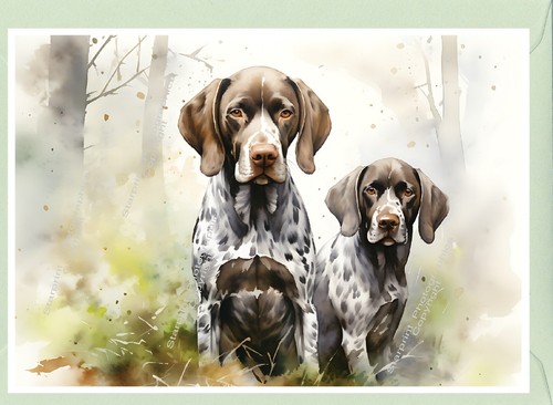 German shorthaired pointer dog - shorthaired,