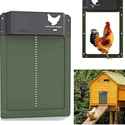 Automatic chicken coop - chicken,