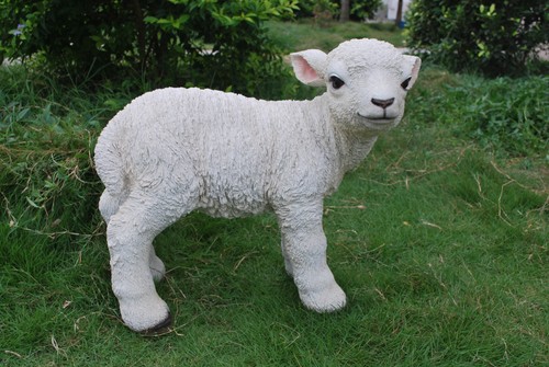 Standing lamb life - standing,