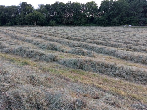 Round and small bale - round,