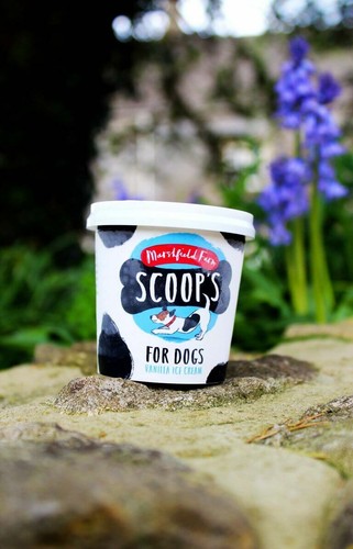 Scoops dog ice cream - x, 125ml