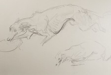 Original Pencil Sketch