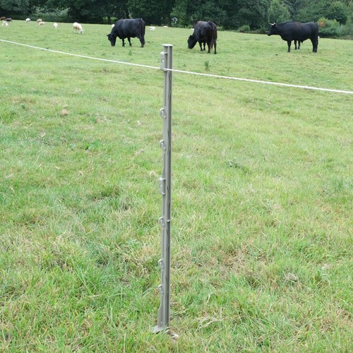 3ft electric fence poly - electric, posts
