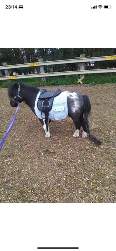 Pony saddle 12 - pony, 10”&