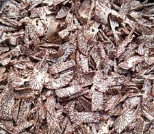 500g Mawa Cut Betel Nut