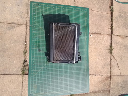 Quadzilla dinli 450 - dinli,