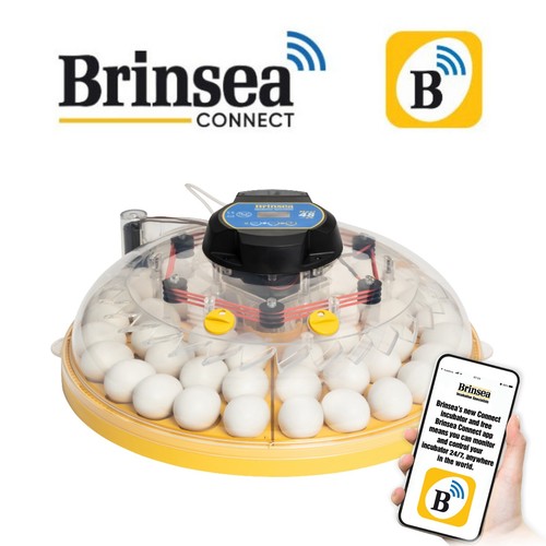 Brinsea maxi connect - brinsea, 48