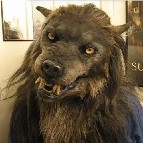 Mens wolf full - mens,