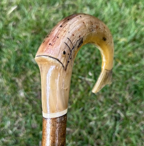 Rams horn walking stick crook - rams,