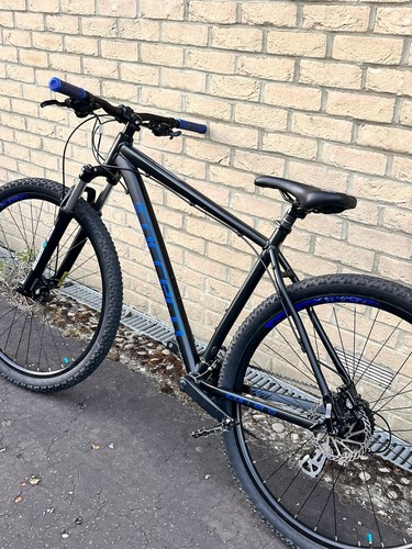 Men carrera hellcat - carrera,