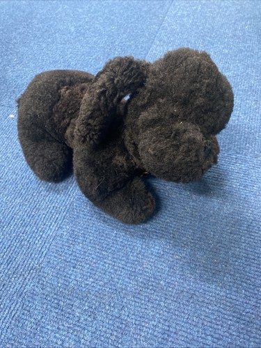 Vintage 1950 musical toy dog - musical,