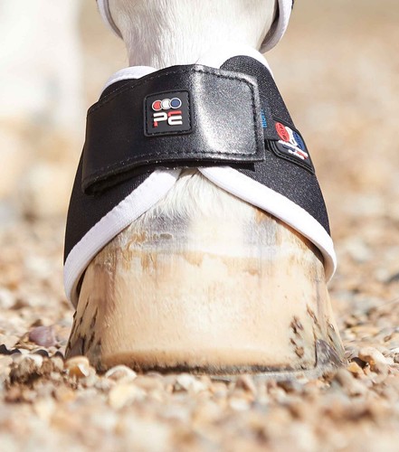 Premier equine magni teque - premier,