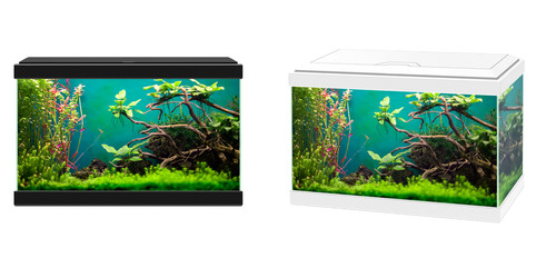 Ciano aqua classic aquarium - aqua,