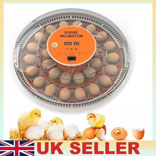 Incubators for hatching eggs - incubators,