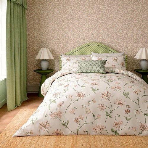 Sanderson honeysuckle - honeysuckle, &