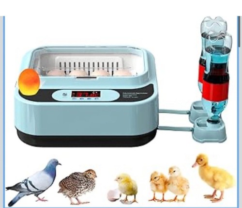 Ouyolad egg incubator for - ouyolad,