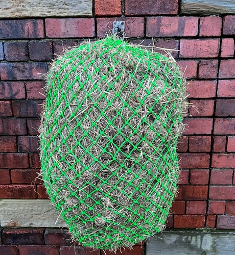 Trickle feed haynet size - feed,